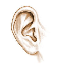 Chirurgie des oreilles décollées Chirurgie des oreilles décollées